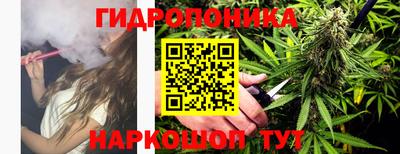 соль ск Пугачёв