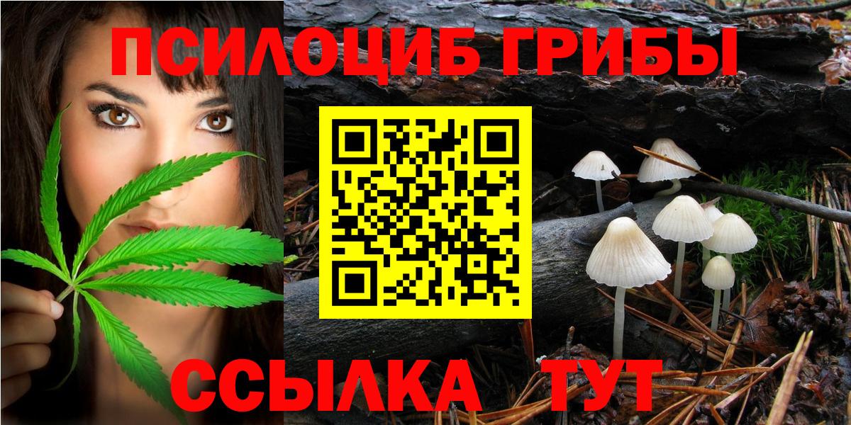 Псилоцибиновые грибы прущие грибы Сарапул