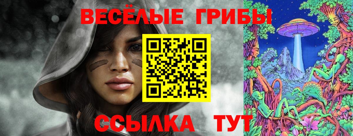 Сарапул  Псилоцибиновые грибы прущие грибы  Вход с VPN 
